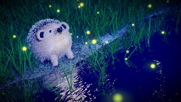 Hedgehog by a stream